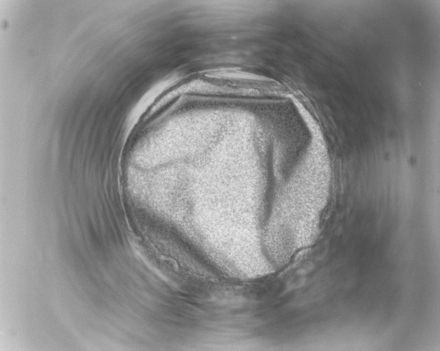 X0000054470147200508270138