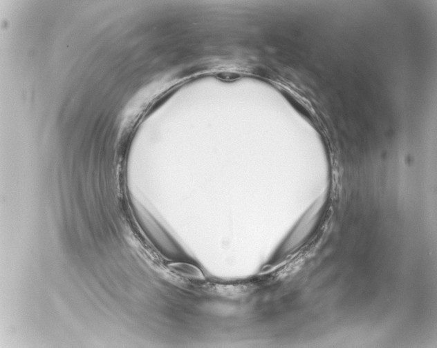 X0000054470149200508270138