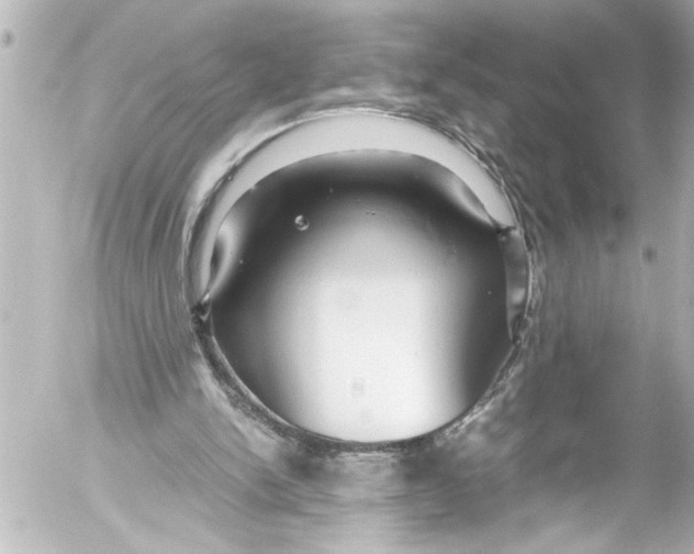 X0000054470150200508270138