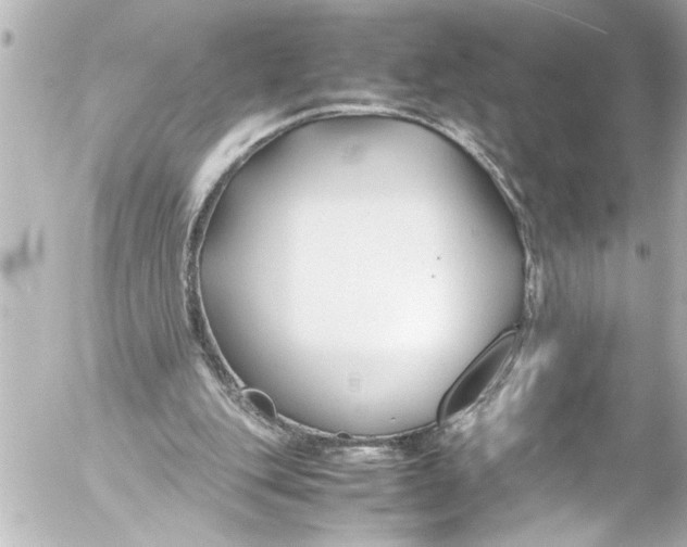 X0000054470151200508270138