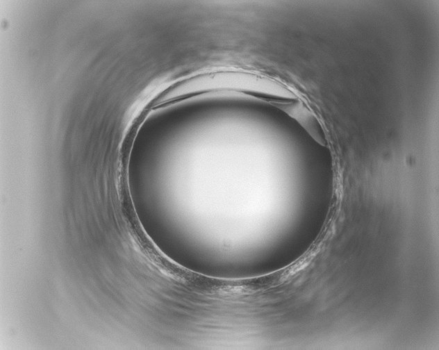 X0000054470152200508270138