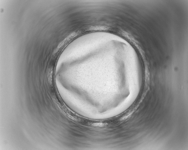 X0000054470153200508270138