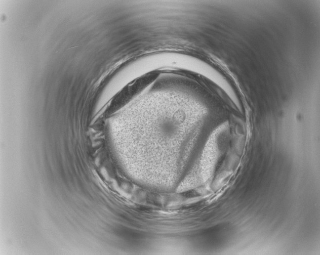 X0000054470154200508270138