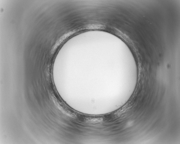 X0000054470155200508270138