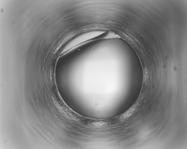 X0000054470158200508270138