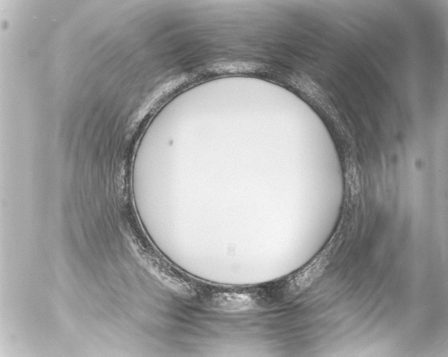 X0000054470159200508270138