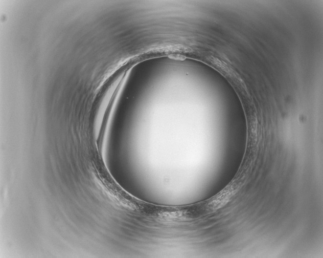 X0000054470160200508270138