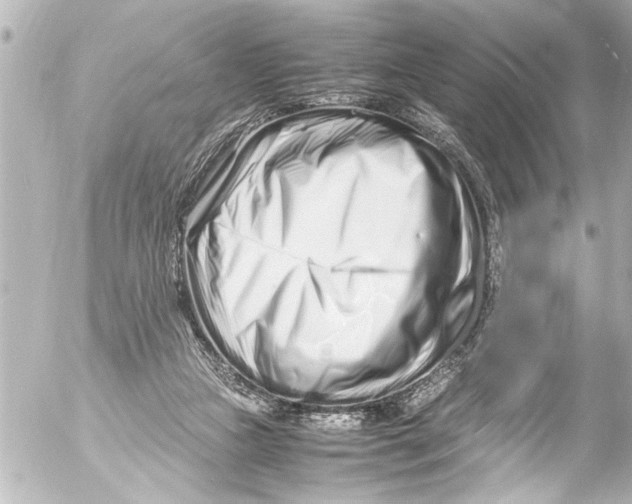 X0000054470161200508270138