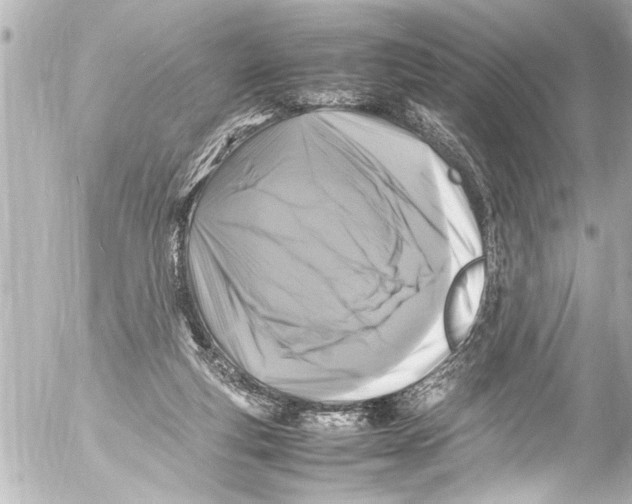 X0000054470163200508270138