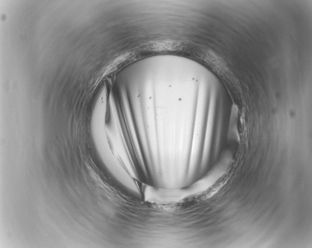 X0000054470164200508270138