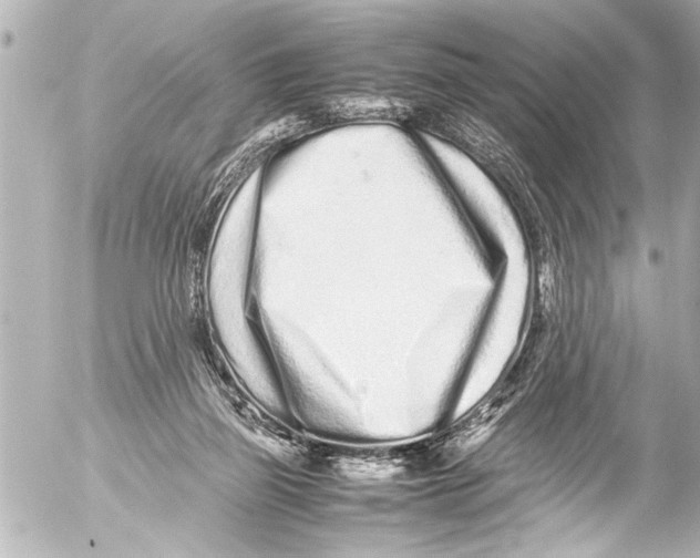 X0000054470165200508270138