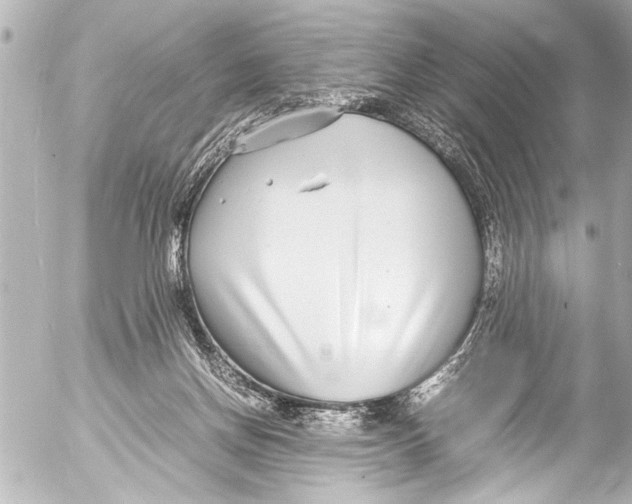 X0000054470166200508270138