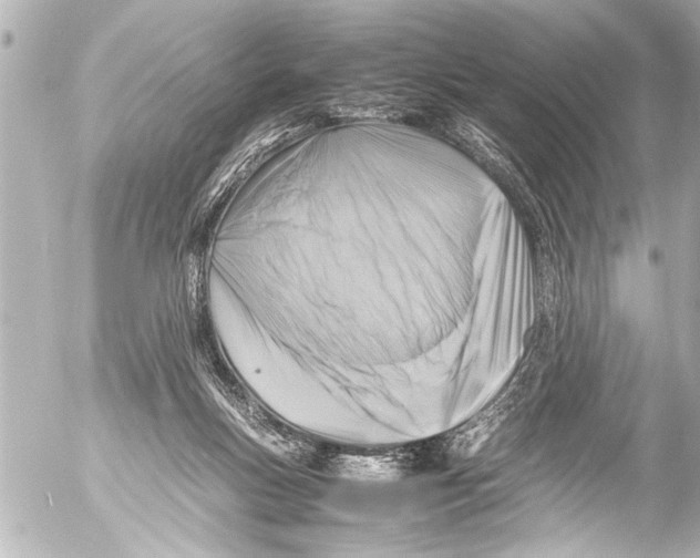 X0000054470167200508270138