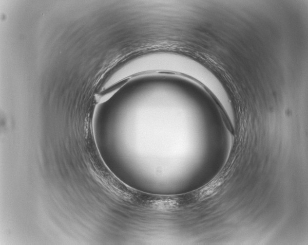 X0000054470168200508270138