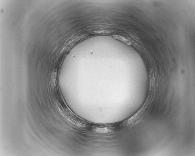 X0000054470171200508270138