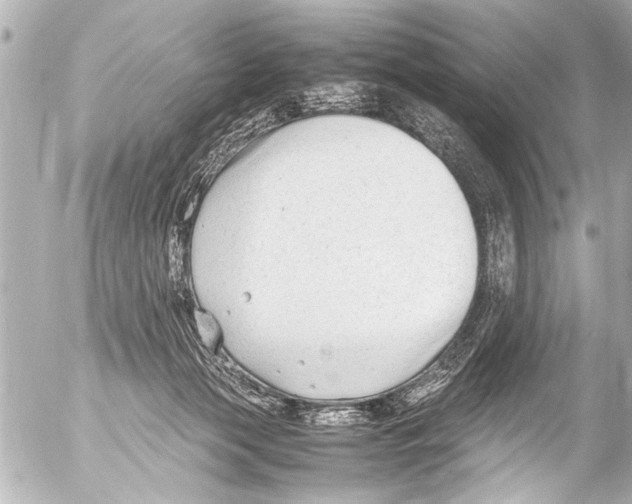 X0000054470173200508270138