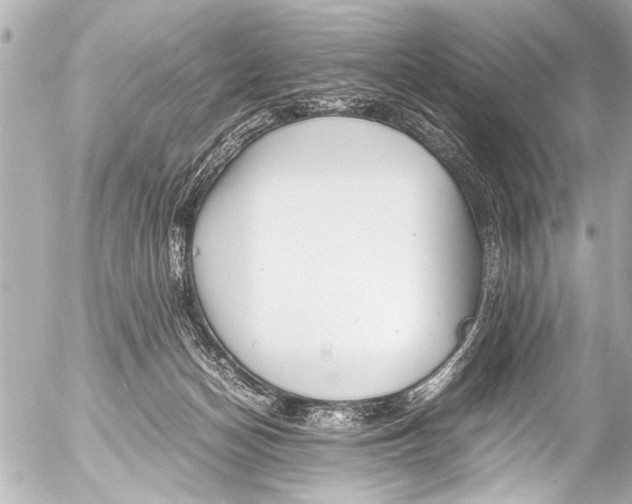 X0000054470174200508270138