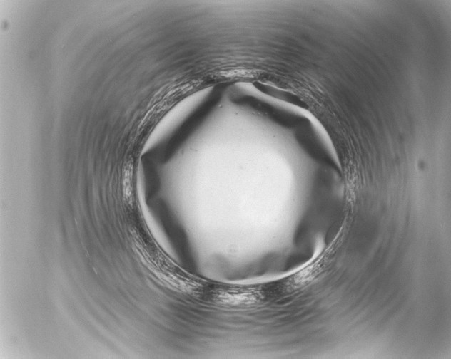 X0000054470175200508270138