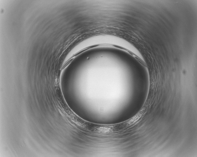 X0000054470176200508270138