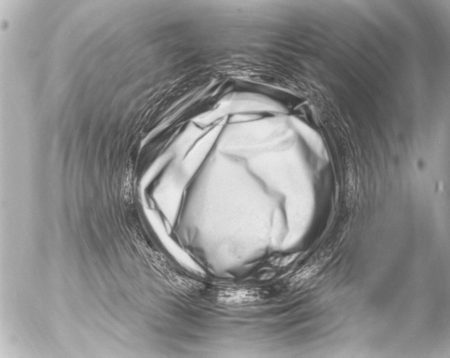 X0000054470177200508270138