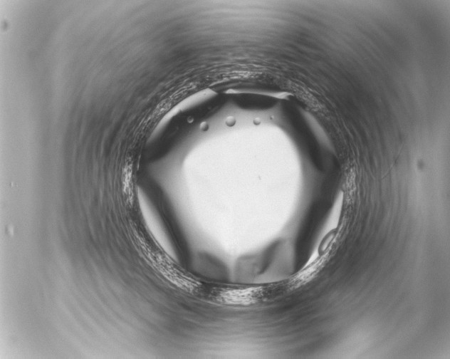 X0000054470178200508270138