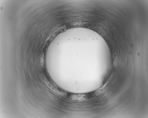 X0000054470179200508270138