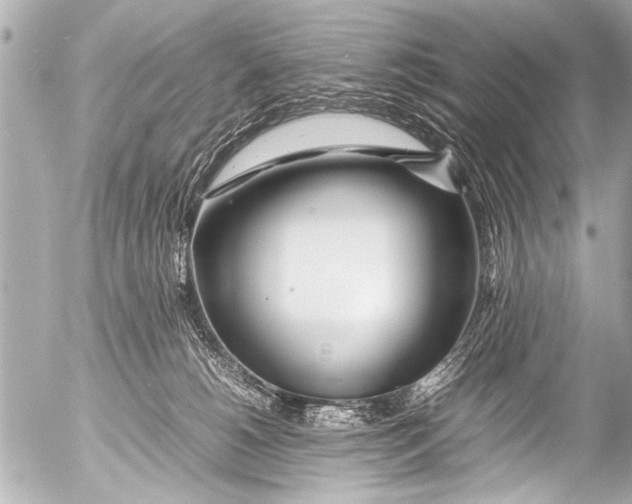 X0000054470180200508270138