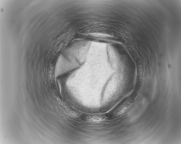 X0000054470181200508270138