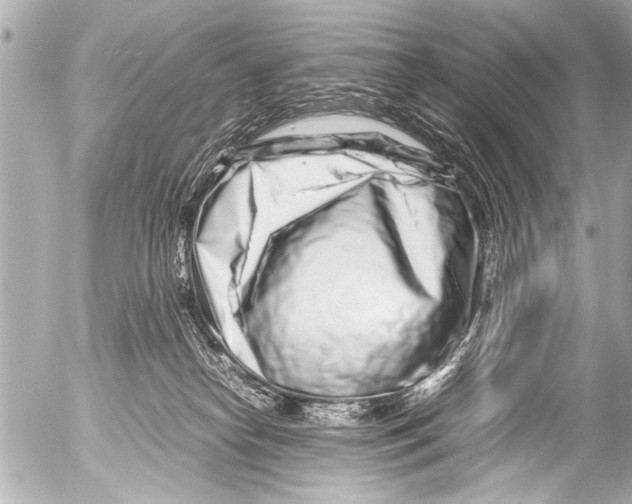 X0000054470182200508270138