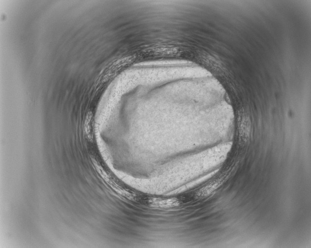 X0000054470185200508270138