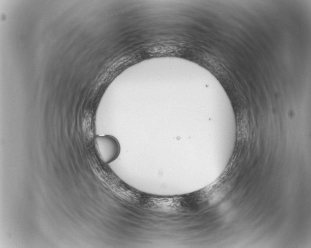 X0000054470187200508270139