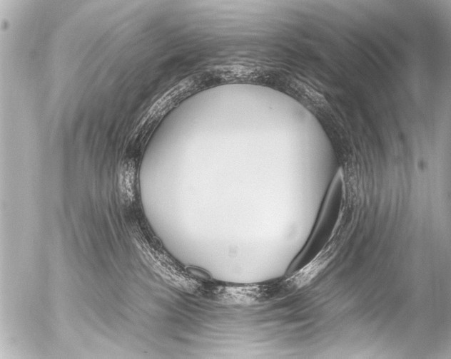 X0000054470188200508270139