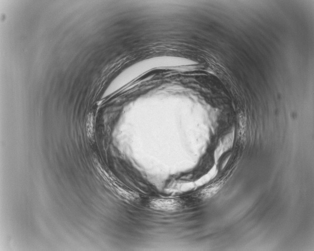 X0000054470189200508270139