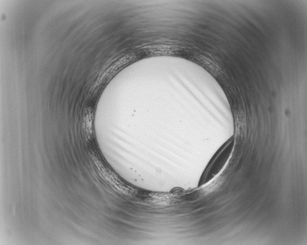 X0000054470190200508270139