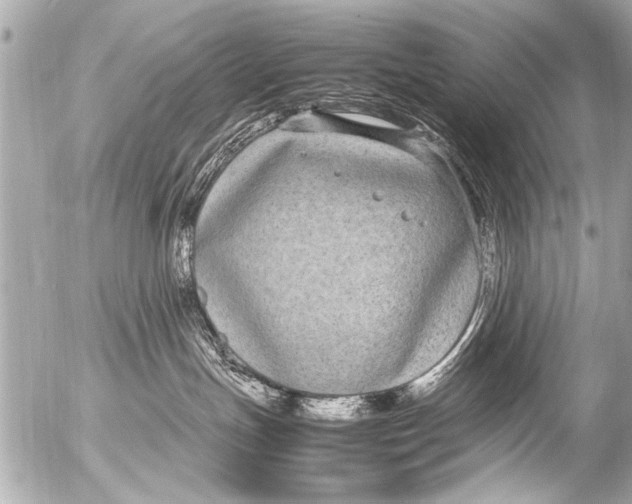 X0000054470191200508270139