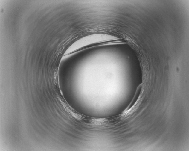 X0000054470192200508270139