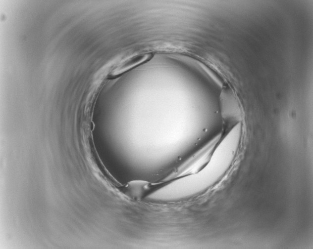 X0000054470193200508270138