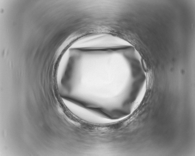 X0000054470195200508270138