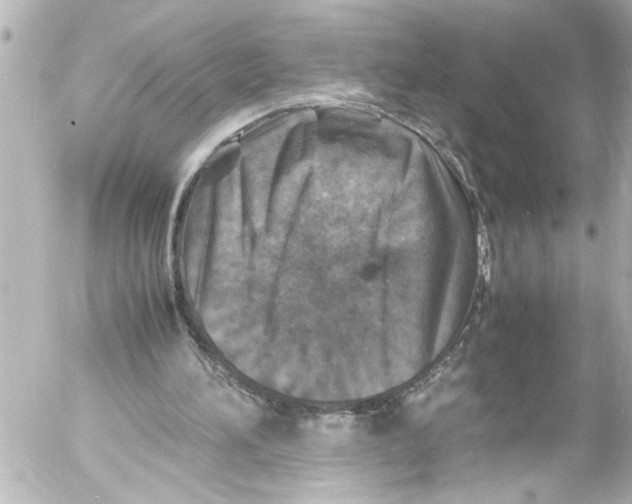 X0000054470196200508270138