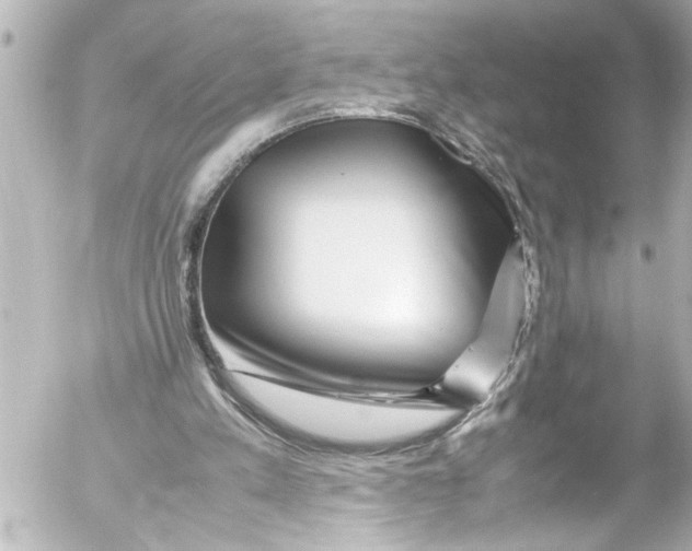 X0000054470197200508270138