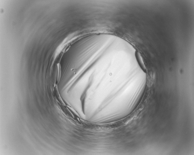 X0000054470198200508270138