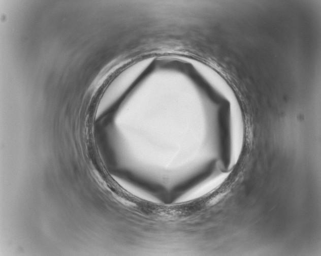 X0000054470199200508270138