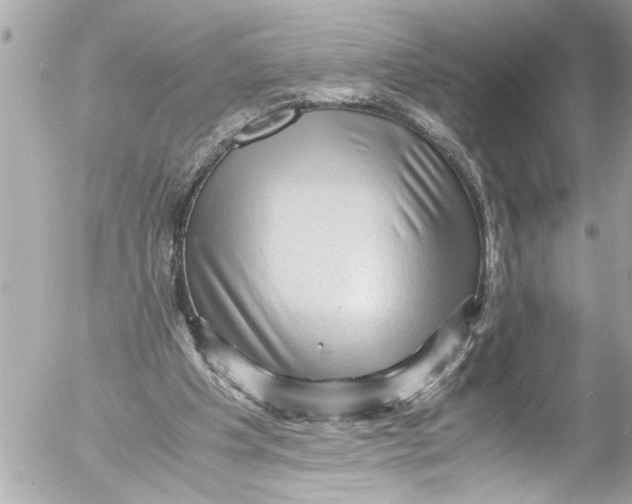 X0000054470201200508270138