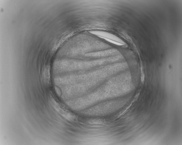 X0000054470202200508270138