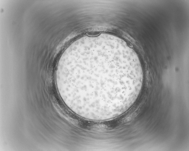 X0000054470203200508270138