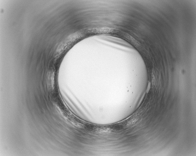 X0000054470206200508270138