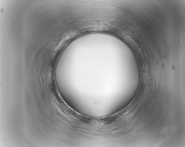 X0000054470207200508270138