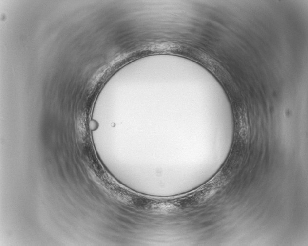 X0000054470208200508270138