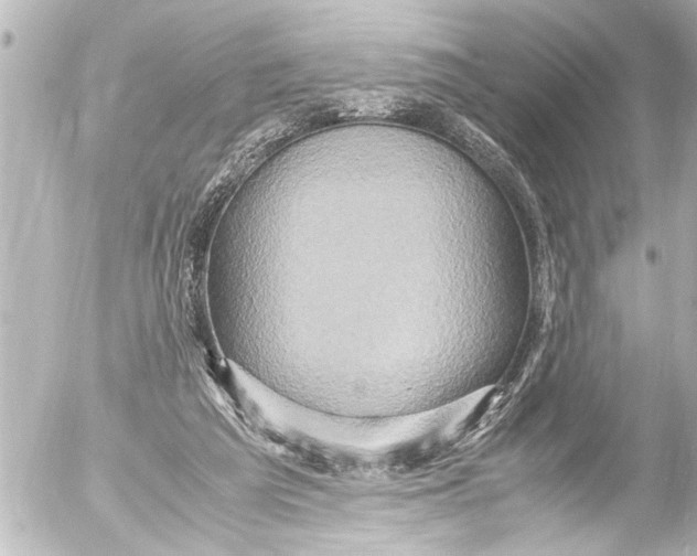 X0000054470209200508270138