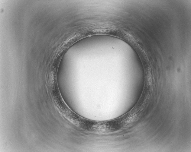 X0000054470211200508270138